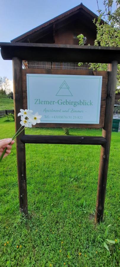 Zlemer - Gebirgsblick Tauplitz Εξωτερικό φωτογραφία